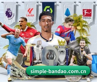 simple-bandao.com.cn APP